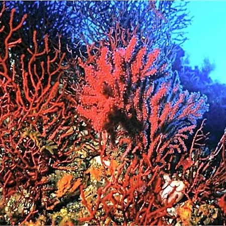 Il Sogno Di Calipso Panzió 3*